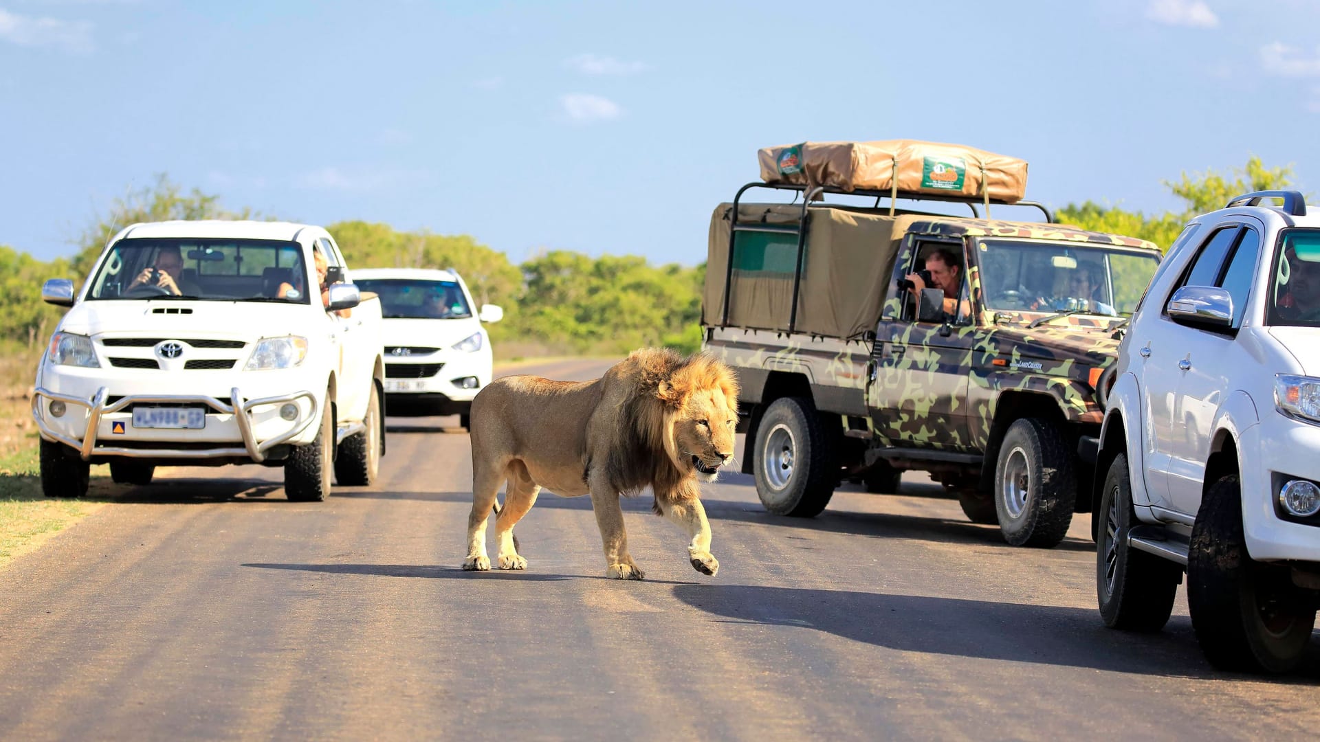 Safari im Kruger-Nationalpark: Eine Gruppe überfiel einen Touristen – er starb. Safari im Kruger-Nationalpark: Eine Gruppe überfiel einen Touristen – er starb.