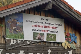 Proteste gegen den Wolf in Bayern (Archivbild): Nach erneuten Rissen wächst die Kritik an der europäischen Wolfspolitik wieder.