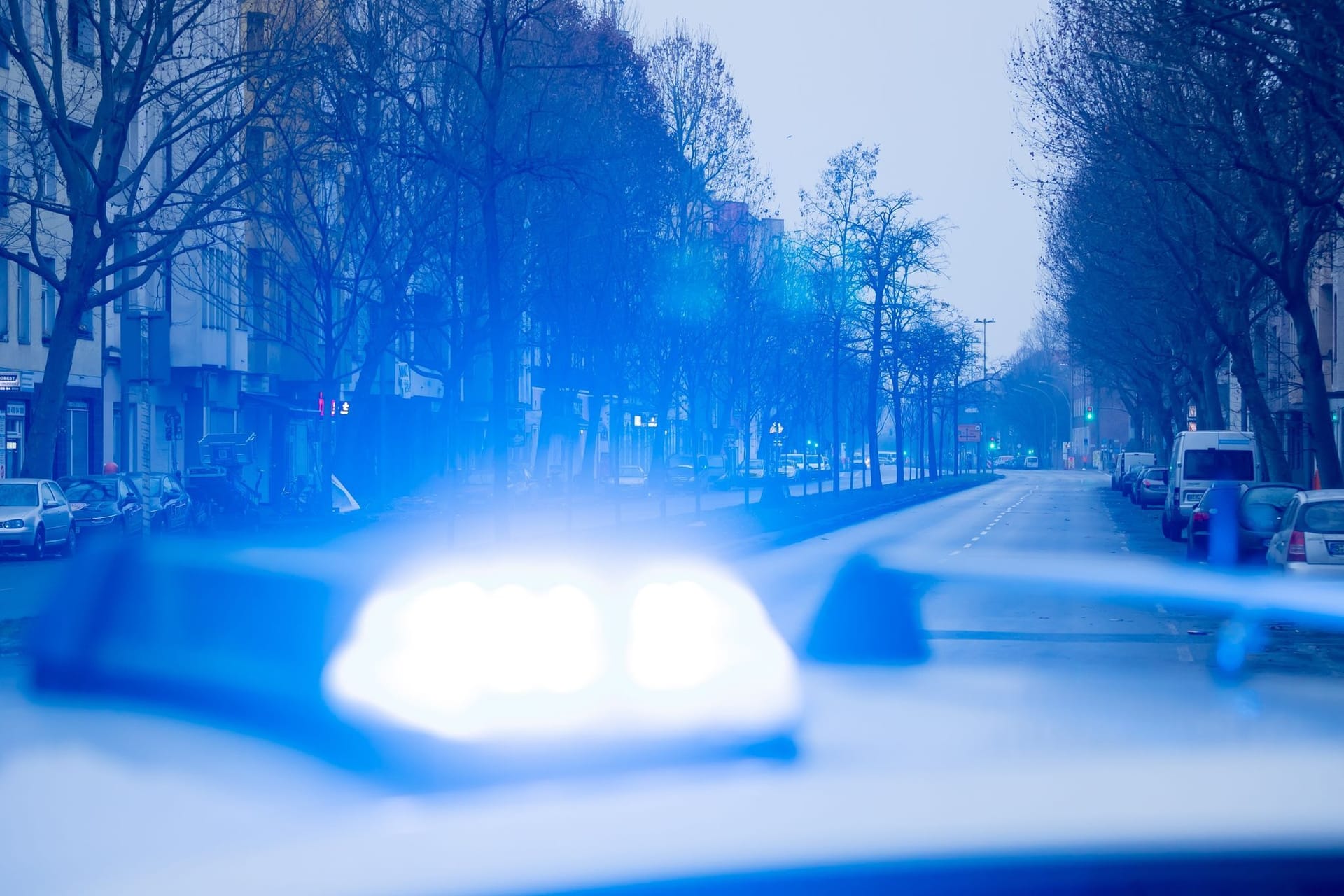 Blaulicht auf dem Dach eines Streifenwagens (Symbolbild): Eine Frau wurde in Neukölln Opfer verbaler und physischer Angriffe.