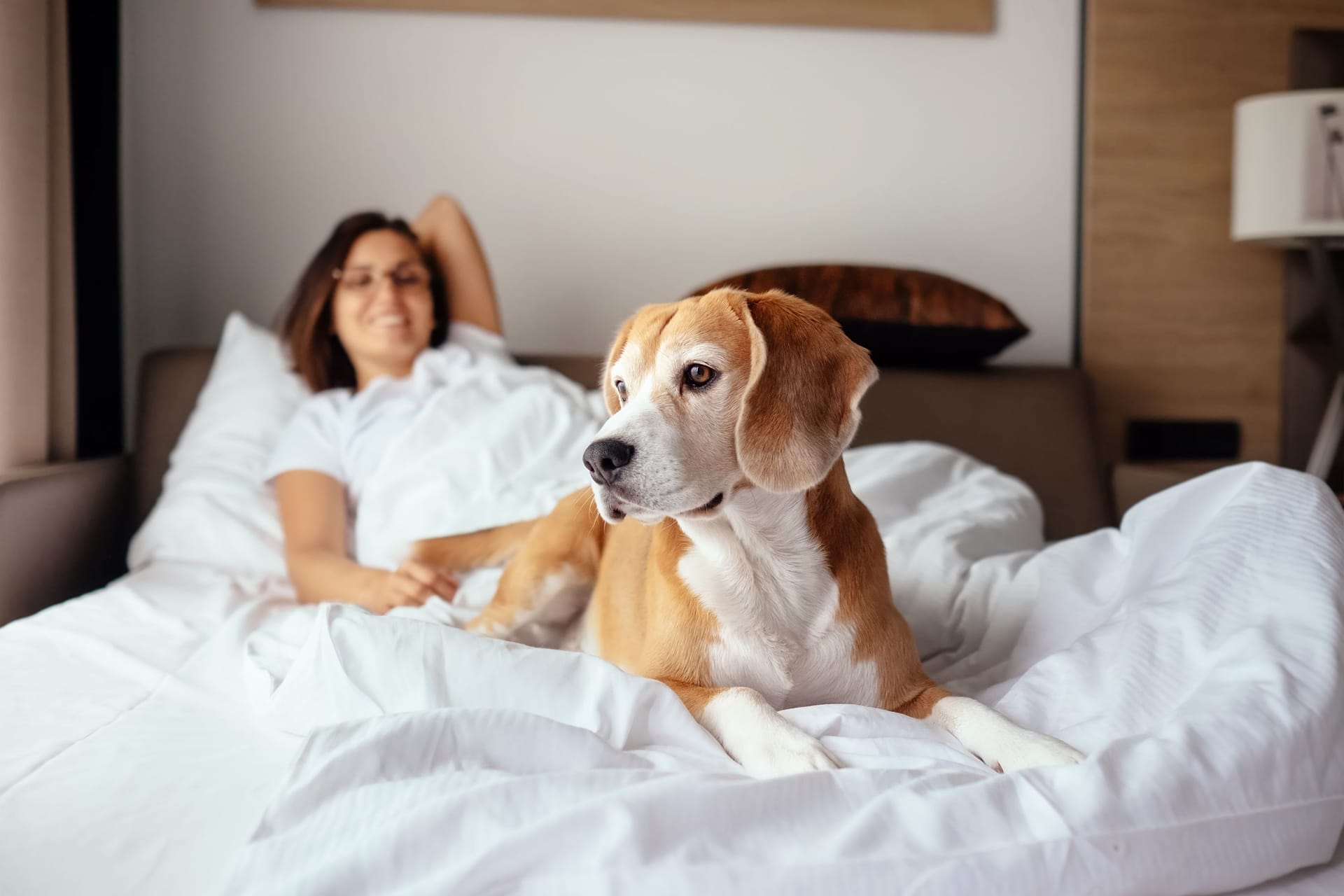 Individuelle Entscheidung: Ob Hund oder Katze mit ins Bett dürfen oder nicht, kommt auf die spezifischen Rahmenbedingungen an.