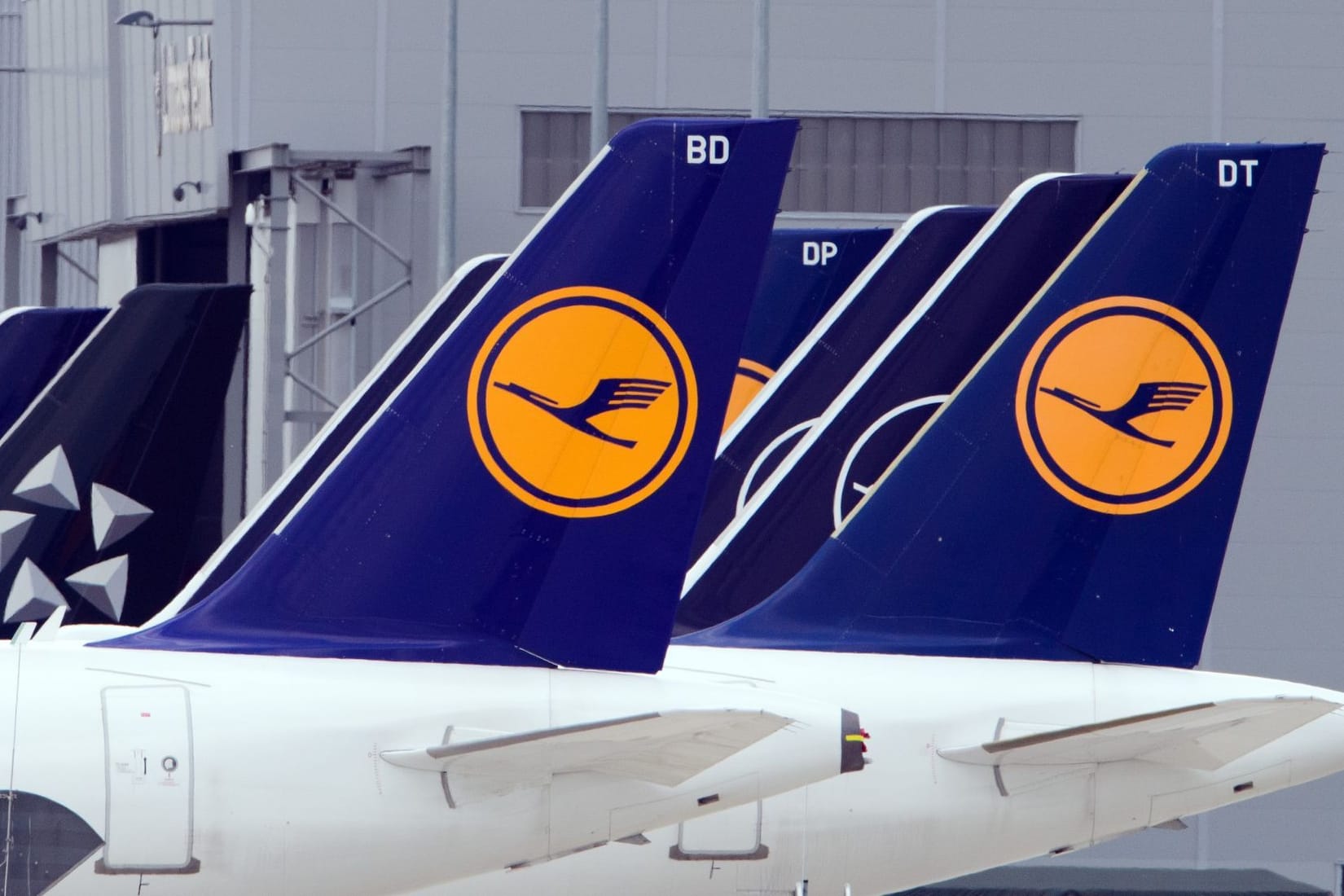 Lufthansa-Flugzeuge am Rand des Rollfelds (Archiv): Die Fluggesellschaft plant umfangreiche Neueinstellungen.