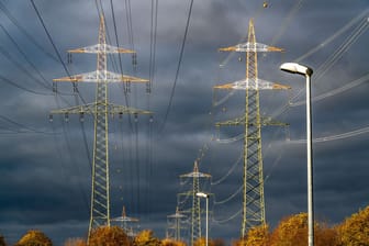 Hochspannungsmasten: "Die Stromversorgung ist unter Stress und ihre Stabilität zunehmend in Gefahr – besonders jetzt im Winter."