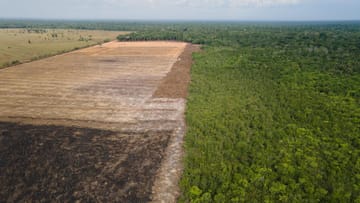 Abgeholztes Gebiet im Amazonasgebiet.