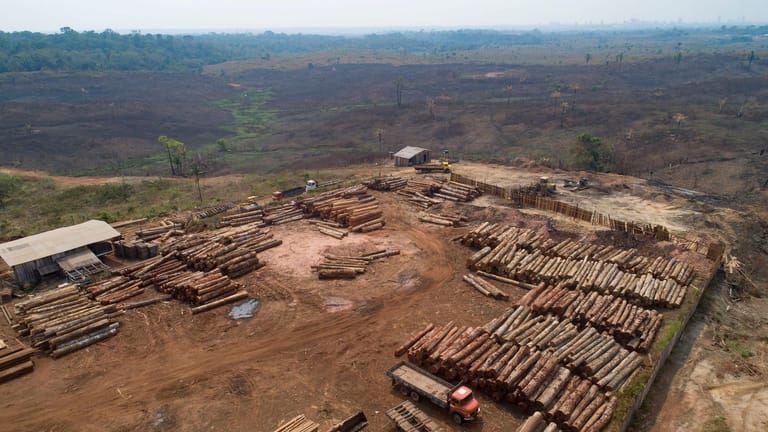Abgeholzte Fläche im Amazonas-Gebiet.