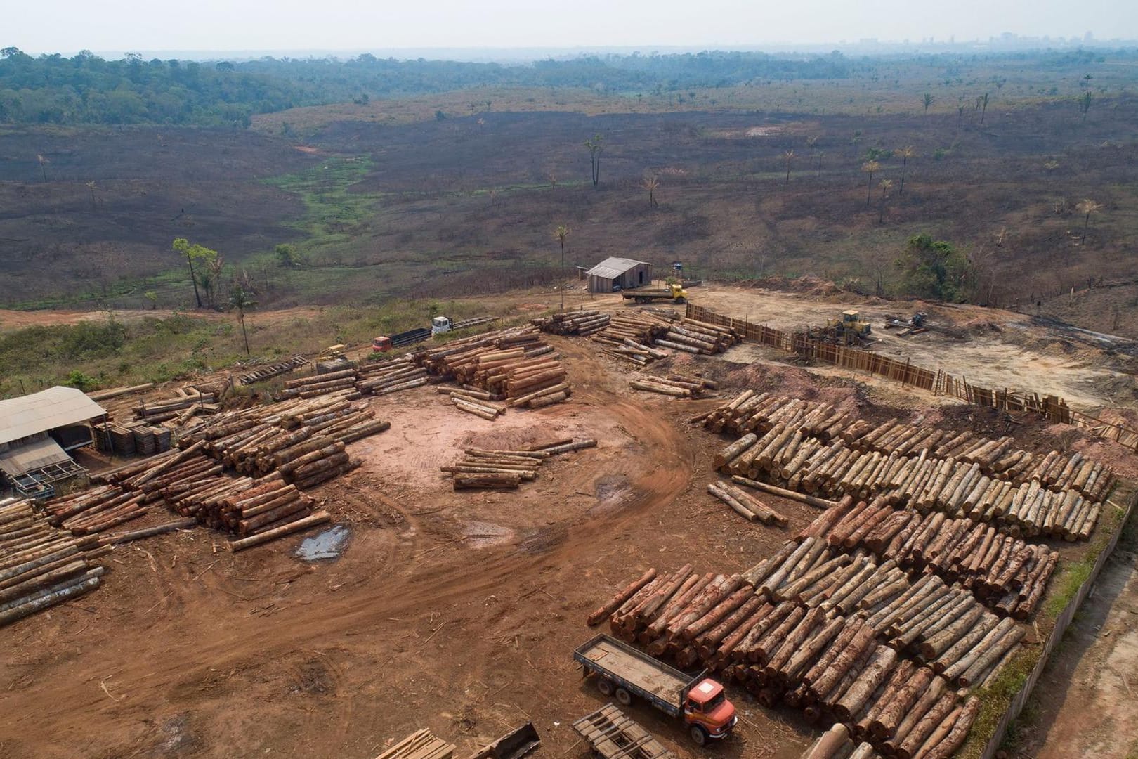 Abgeholzte Fläche im Amazonas-Gebiet.