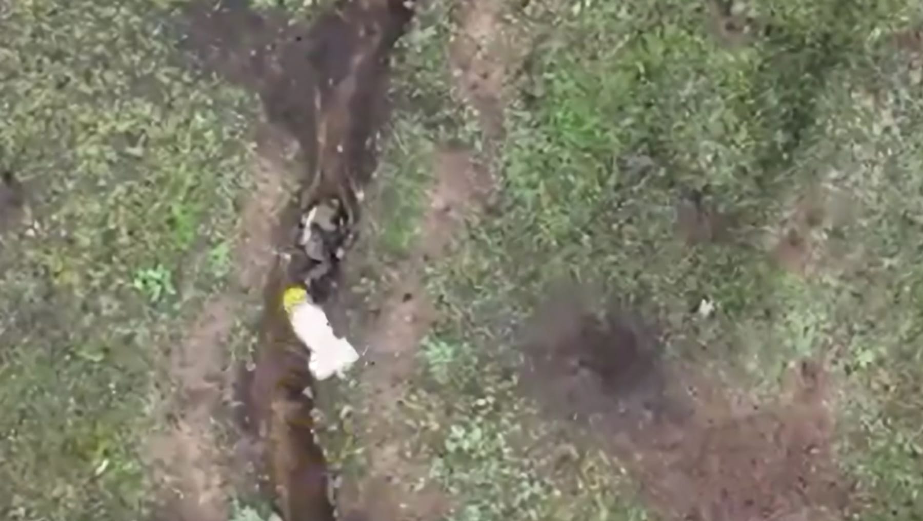 Nato Einsatz? Russische Drohne Mit 2 Kilo Sprengsatz Entdeckt – Litauen In Der Zwickmühle! - wv0477z