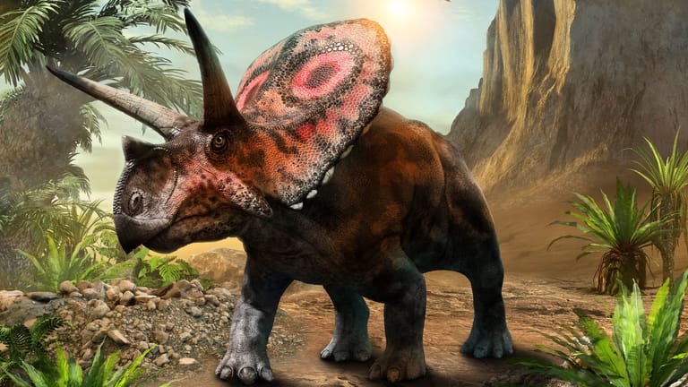 Die ausgestorbenen Riesen üben noch immer große Faszination auf uns aus: Was wissen Sie über Dinos?