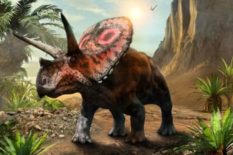 Die ausgestorbenen Riesen üben noch immer große Faszination auf uns aus: Was wissen Sie über Dinos?