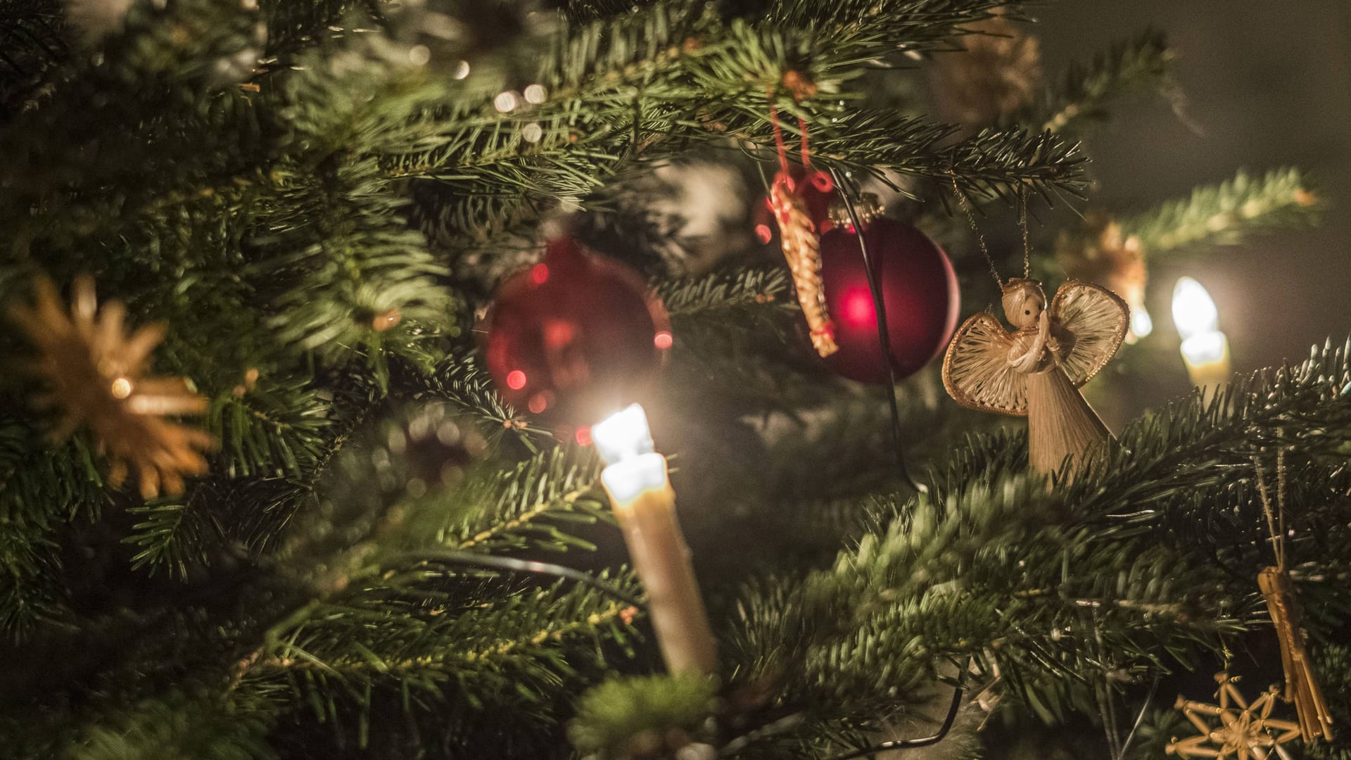 Weihnachtliches Lichtermeer: Mit der richtigen Wahl der Lichterketten können Stromverbrauch und Kosten minimiert werden.