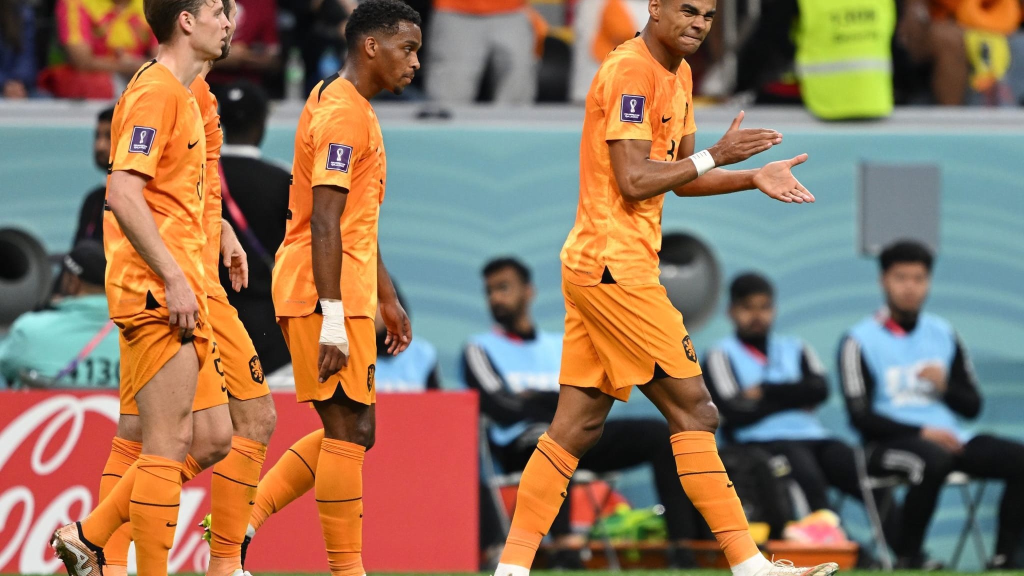 Fußball-WM | Nur Gakpo glänzt bei Oranje - van Gaal versteht Kritik nicht