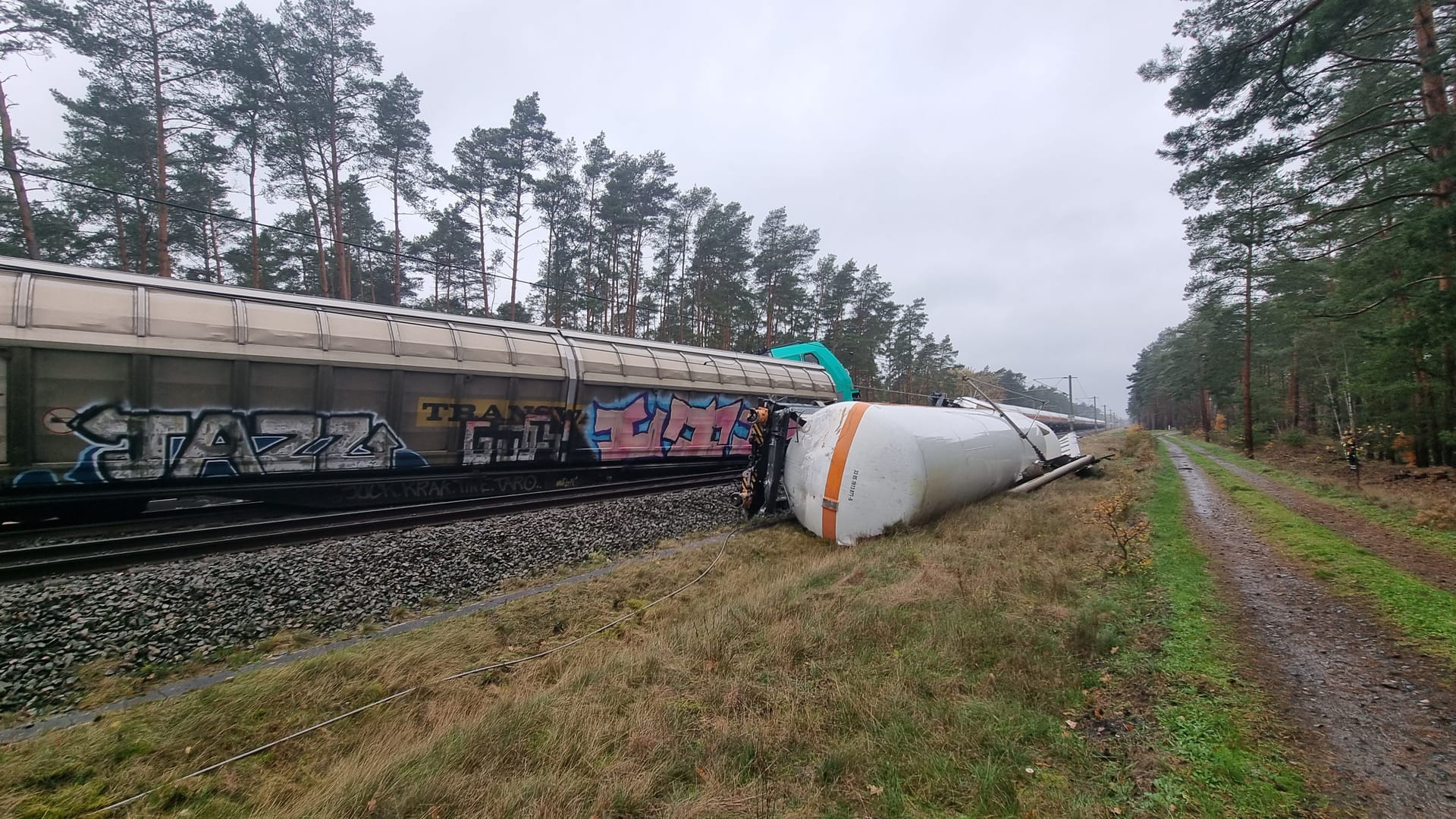 Mehrere Waggons sind vollständig entgleist.