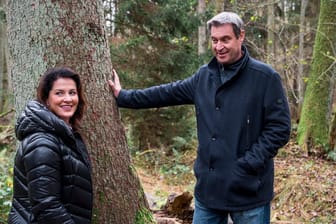 Landwirtschaftsministerin Kaniber (links) und Ministerpräsident Söder im Reichswald Nürnberg: Sie weisen drei neue Naturwälder aus.