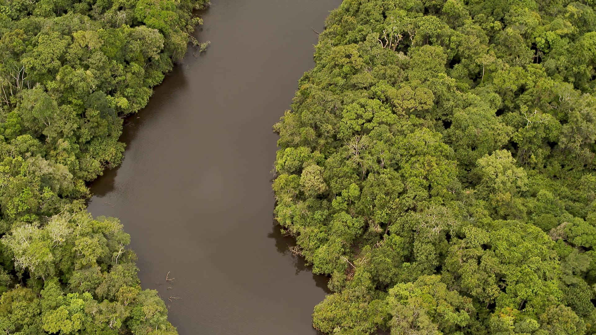 Das peruanische Amazonasgebiet (Archiv): Dorfbewohner hatten mehrere Schiffe mit Ausflüglern festgehalten. Das peruanische Amazonasgebiet (Archiv): Dorfbewohner hatten mehrere Schiffe mit Ausflüglern festgehalten.