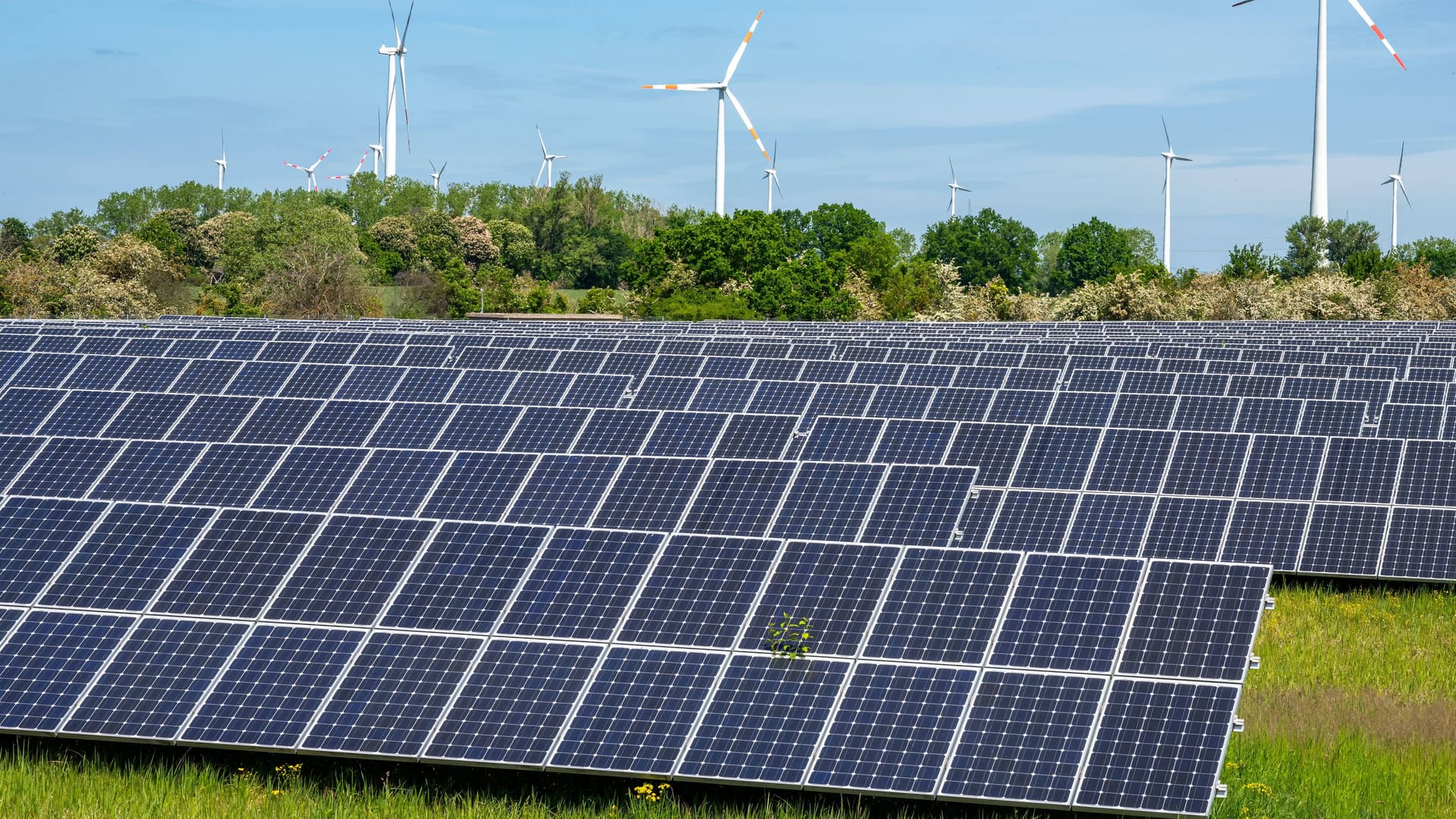 Alternative Problemlösung: Dezentrale Energieinfrastruktur durch Wind- und Solarparks könnte den Energieverlust reduzieren. (Symbolbild)