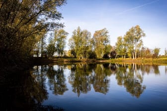 Bäume spiegeln sich im Landkreis Hildesheim bei sonnigem Herbstwetter auf der Wasseroberfläche eines Sees.