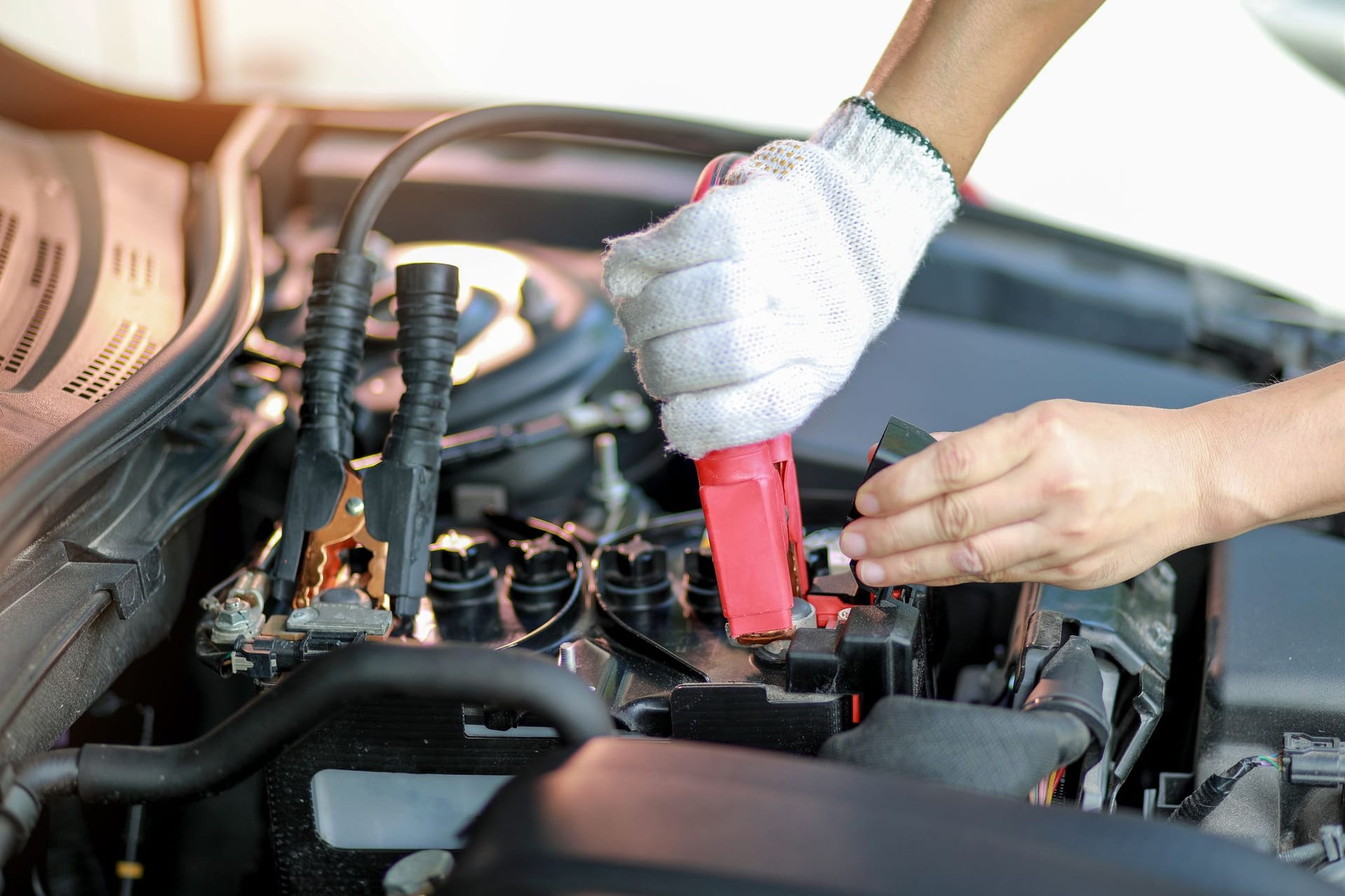 Autobatterie abklemmen: Das schwarze Kabel steht für den Minuspol, dieser wird zuerst abgeklemmt. Danach das rote Kabel für den Pluspol.