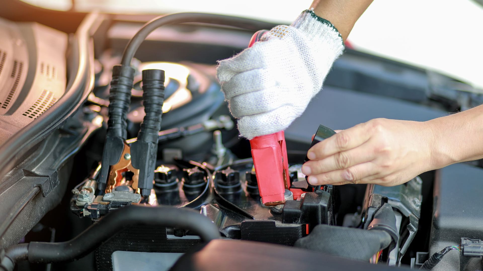 Autobatterie abklemmen: Das schwarze Kabel steht für den Minuspol, dieser wird zuerst abgeklemmt. Danach das rote Kabel für den Pluspol.