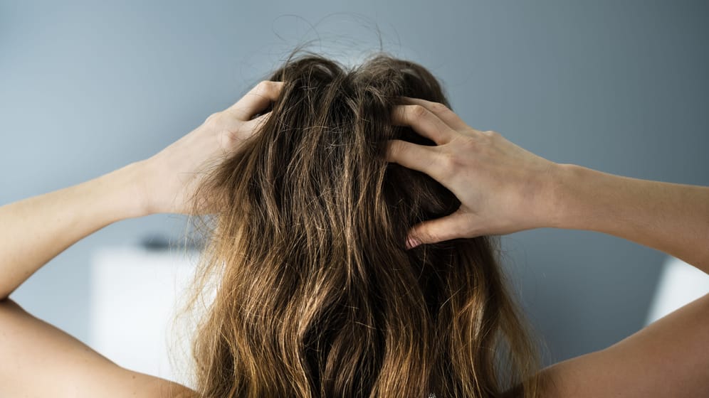 Haare richtig pflegen: Besonders wenn es draußen ungemütlich ist, werden unsere Haare widerspenstig.