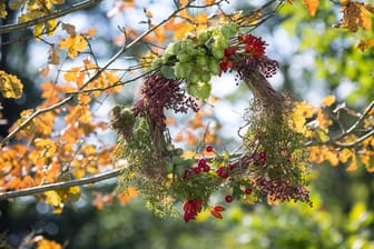 Der Herbst bietet neben einer bunten Natur, schöne Bastelutensilien.