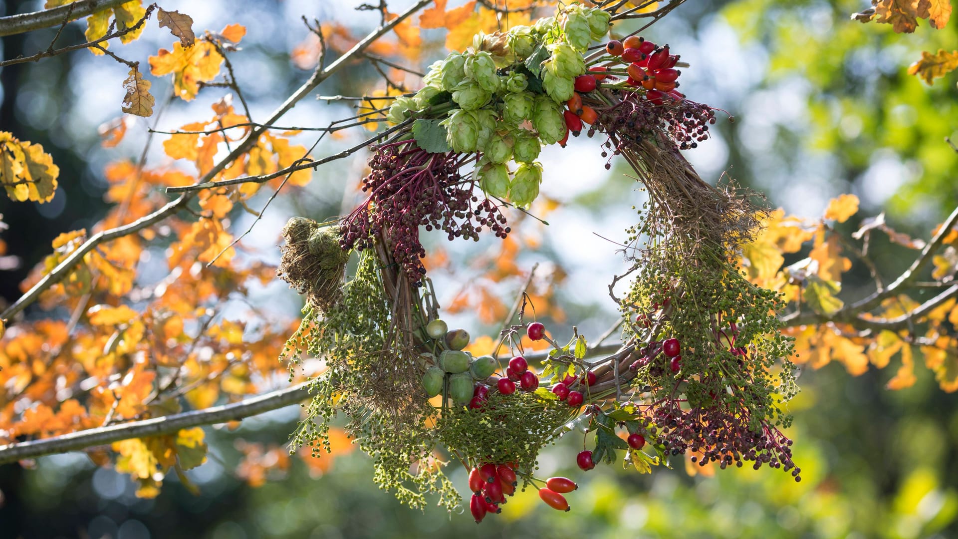 Der Herbst bietet neben einer bunten Natur, schöne Bastelutensilien.