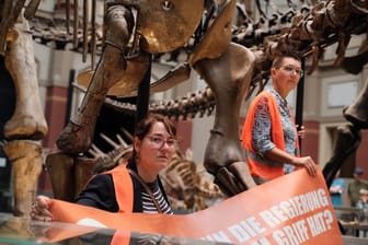 Zwei Aktivistinnen der "Letzten Generation" im Berliner Naturkundemuseum: Am 30. Oktober klebten sie sich an den Stahlträgern eines Dinosaurierskeletts fest.