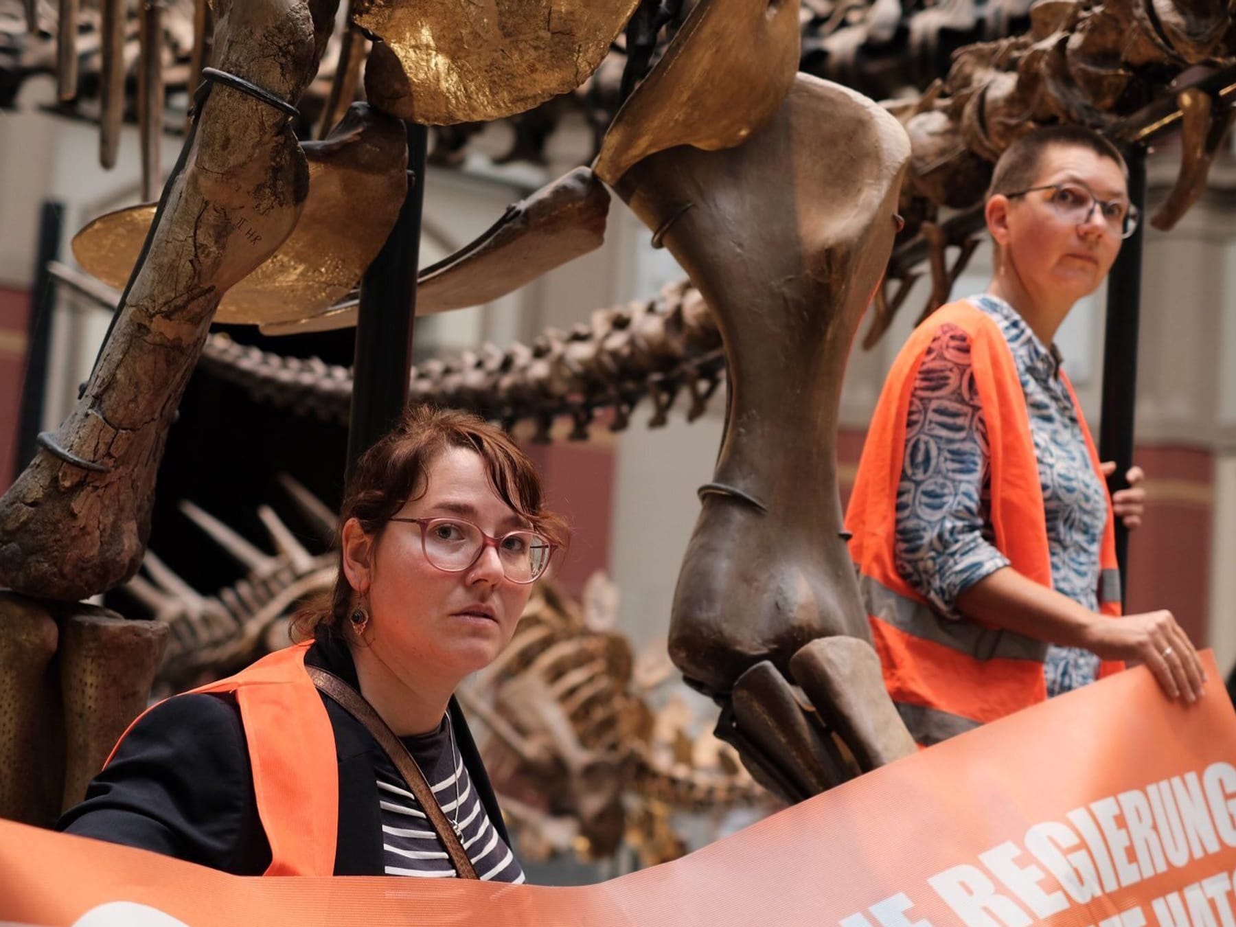 Klimaaktivisten kleben sich an Dino-Skelett - Letzte Generation-Protest  im Berliner Naturkundemuseum