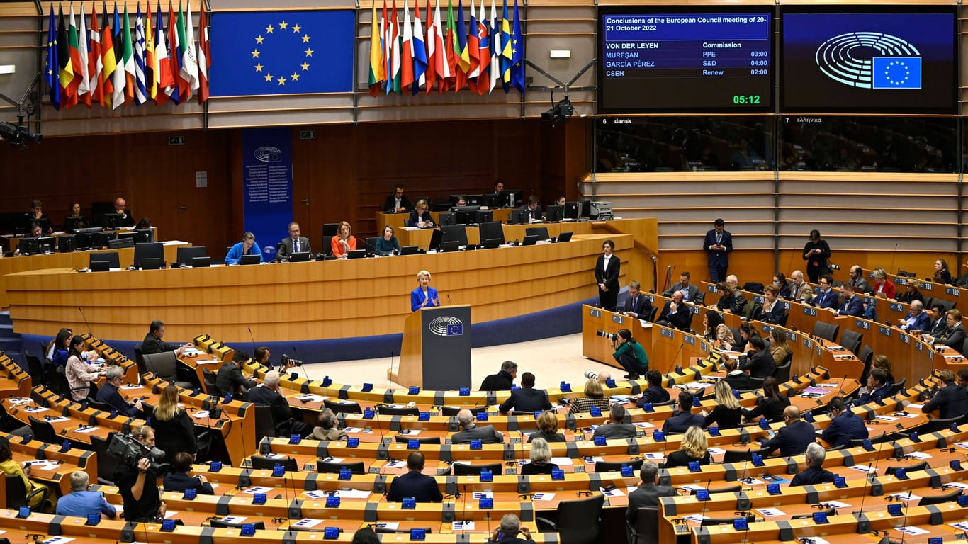 Plenarsaal des Europäischen Parlaments: Das EU-Parlament ist Ziel eines Hackerangriffs geworden.