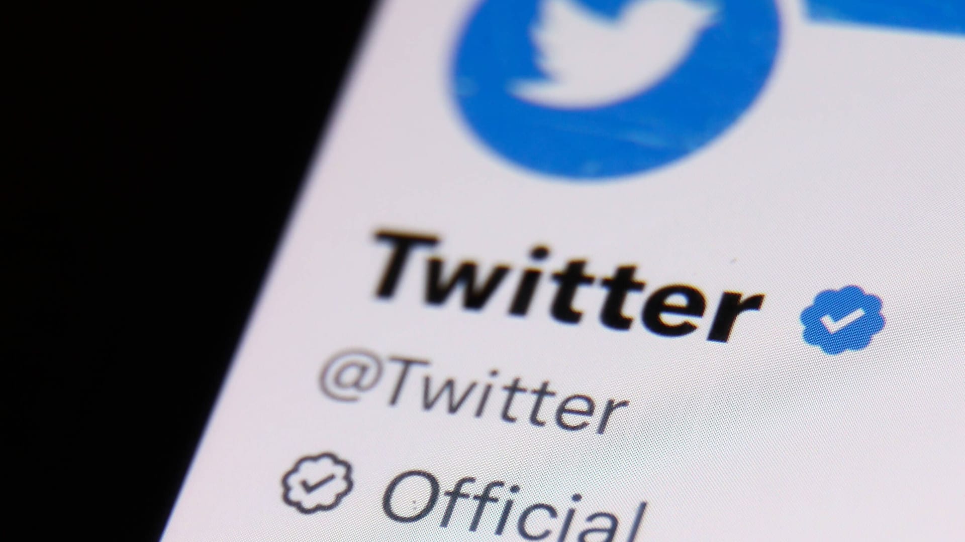 Der blaue Haken: Musk möchte kommende Woche einen neuen Anlauf für Twitters Abomodell starten. Der blaue Haken: Musk möchte kommende Woche einen neuen Anlauf für Twitters Abomodell starten.