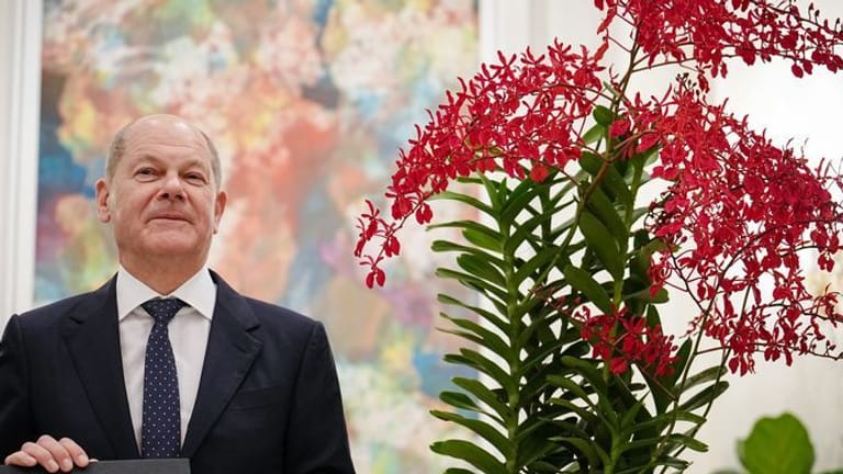 Singapur: Bundeskanzler Olaf Scholz (SPD) steht bei der Orchideenzeremonie neben der Orchidee mit dem Namen Renanthera Olaf Scholz.