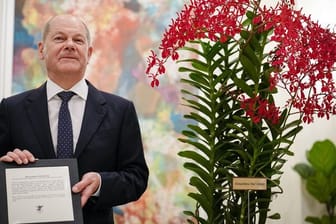 Singapur: Bundeskanzler Olaf Scholz (SPD) steht bei der Orchideenzeremonie neben der Orchidee mit dem Namen Renanthera Olaf Scholz.