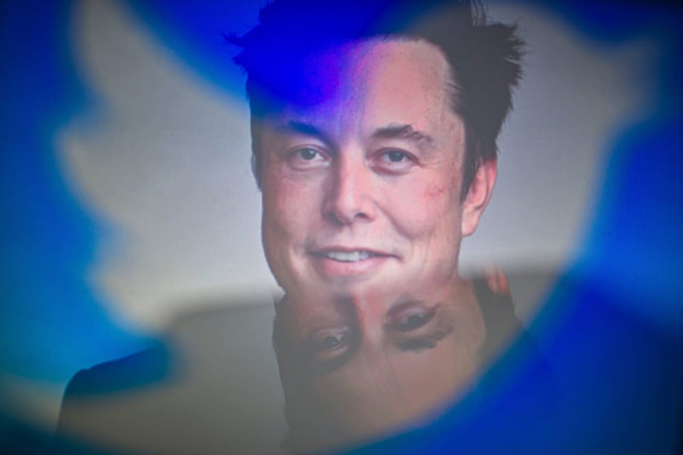Vogelfrei: Elon Musks erste Beschlüsse für Twitter lösen bei großen Werbekunden bereits Fluchtreflexe aus.