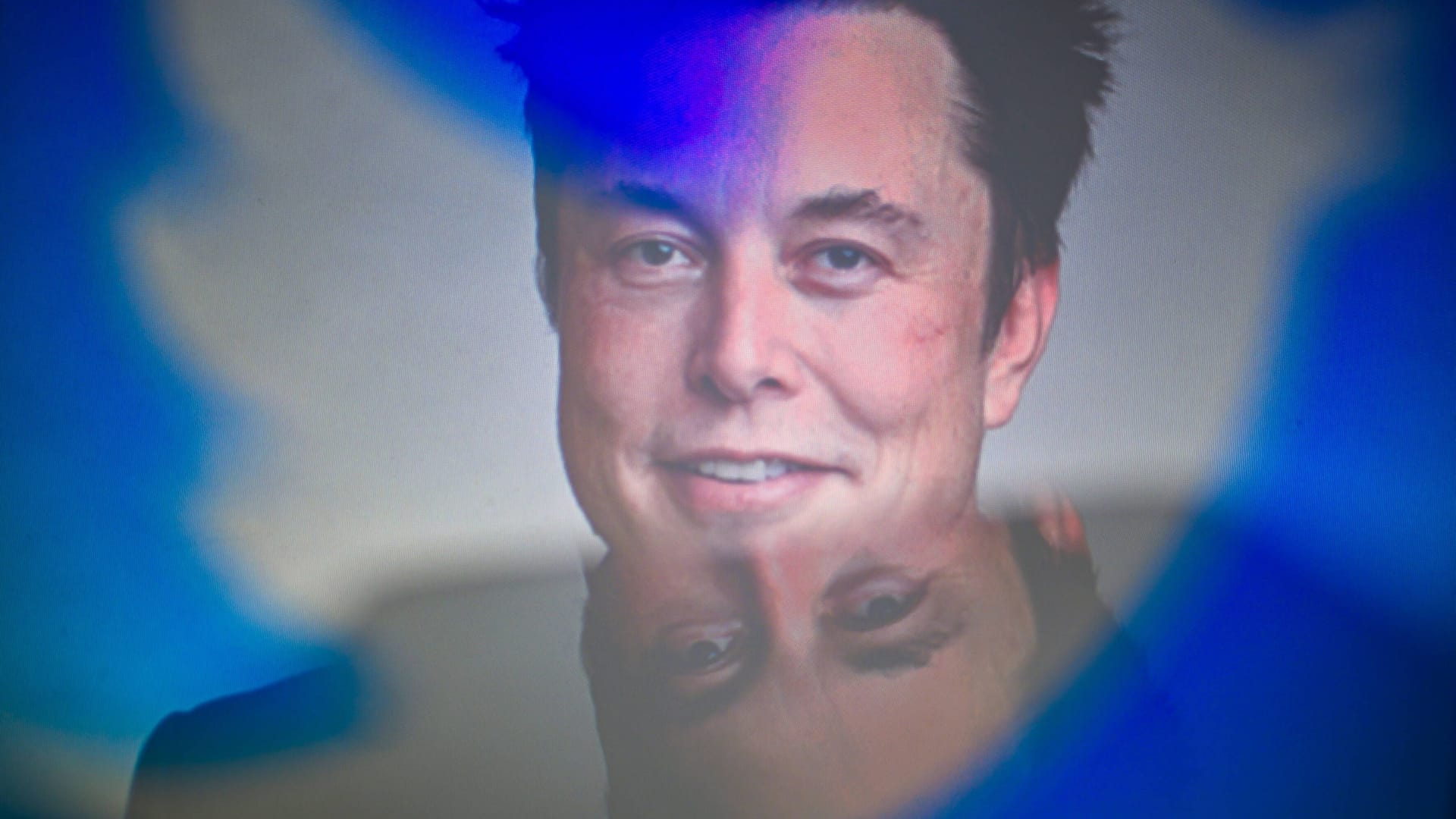 Vogelfrei: Elon Musks erste Beschlüsse für Twitter lösen bei großen Werbekunden bereits Fluchtreflexe aus. Vogelfrei: Elon Musks erste Beschlüsse für Twitter lösen bei großen Werbekunden bereits Fluchtreflexe aus.