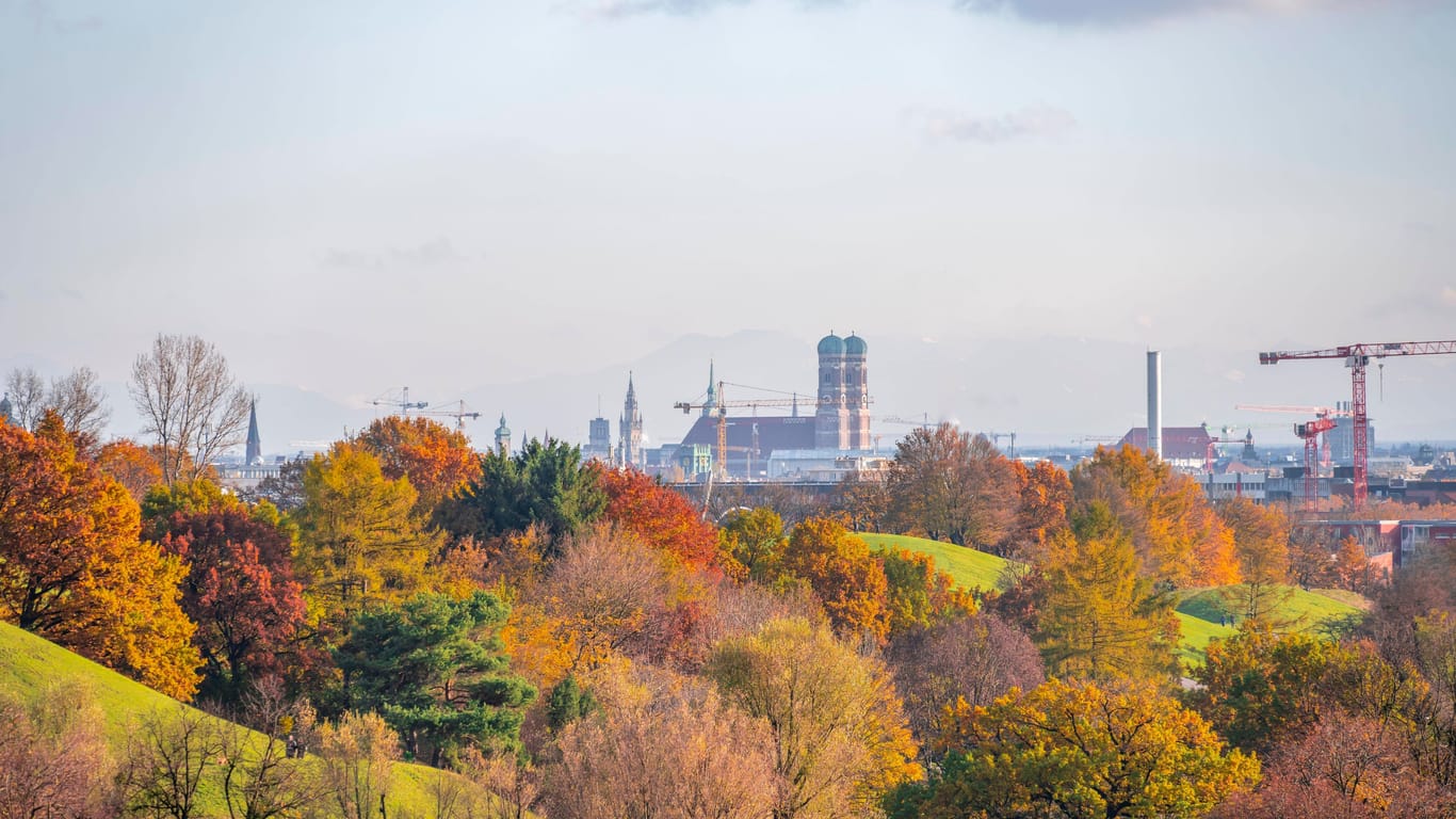 Herbstliche Bäume im Olympiapark (Archivbild): Die Baumbilanz der Stadt ist negativ.