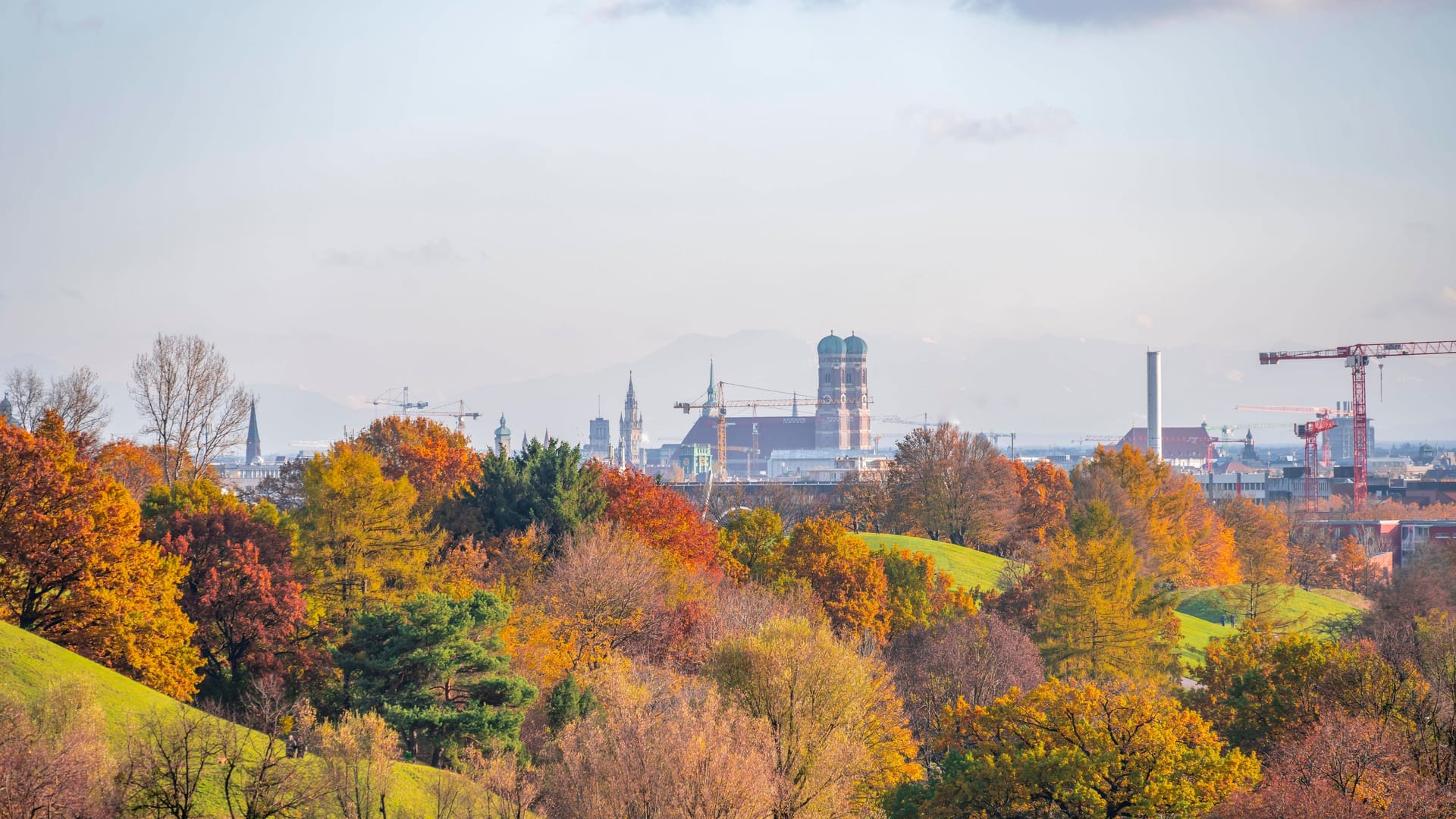Herbstliche Bäume im Olympiapark (Archivbild): Die Baumbilanz der Stadt ist negativ. Herbstliche Bäume im Olympiapark (Archivbild): Die Baumbilanz der Stadt ist negativ.
