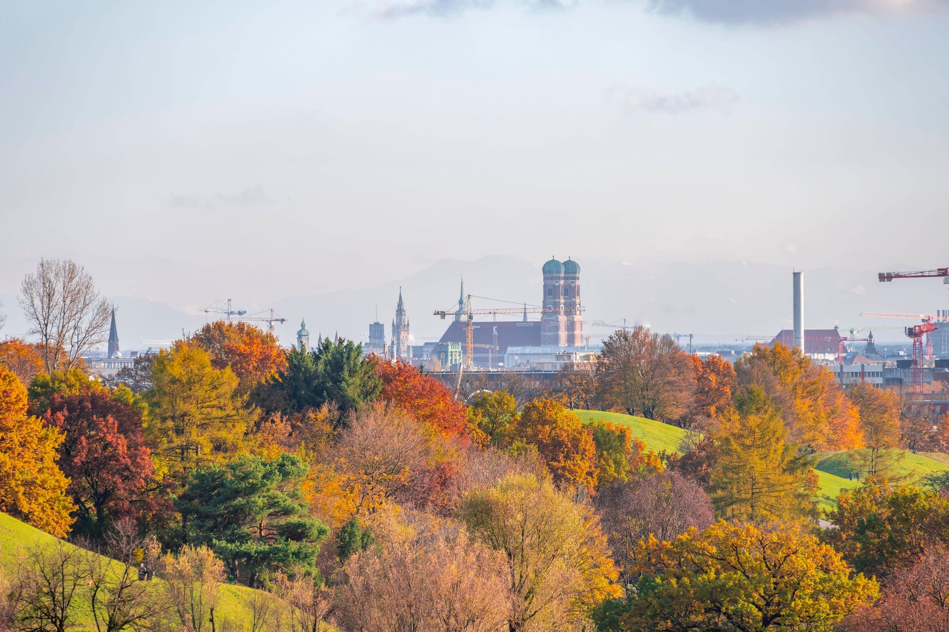 Herbstliche Bäume im Olympiapark (Archivbild): Die Baumbilanz der Stadt ist negativ.