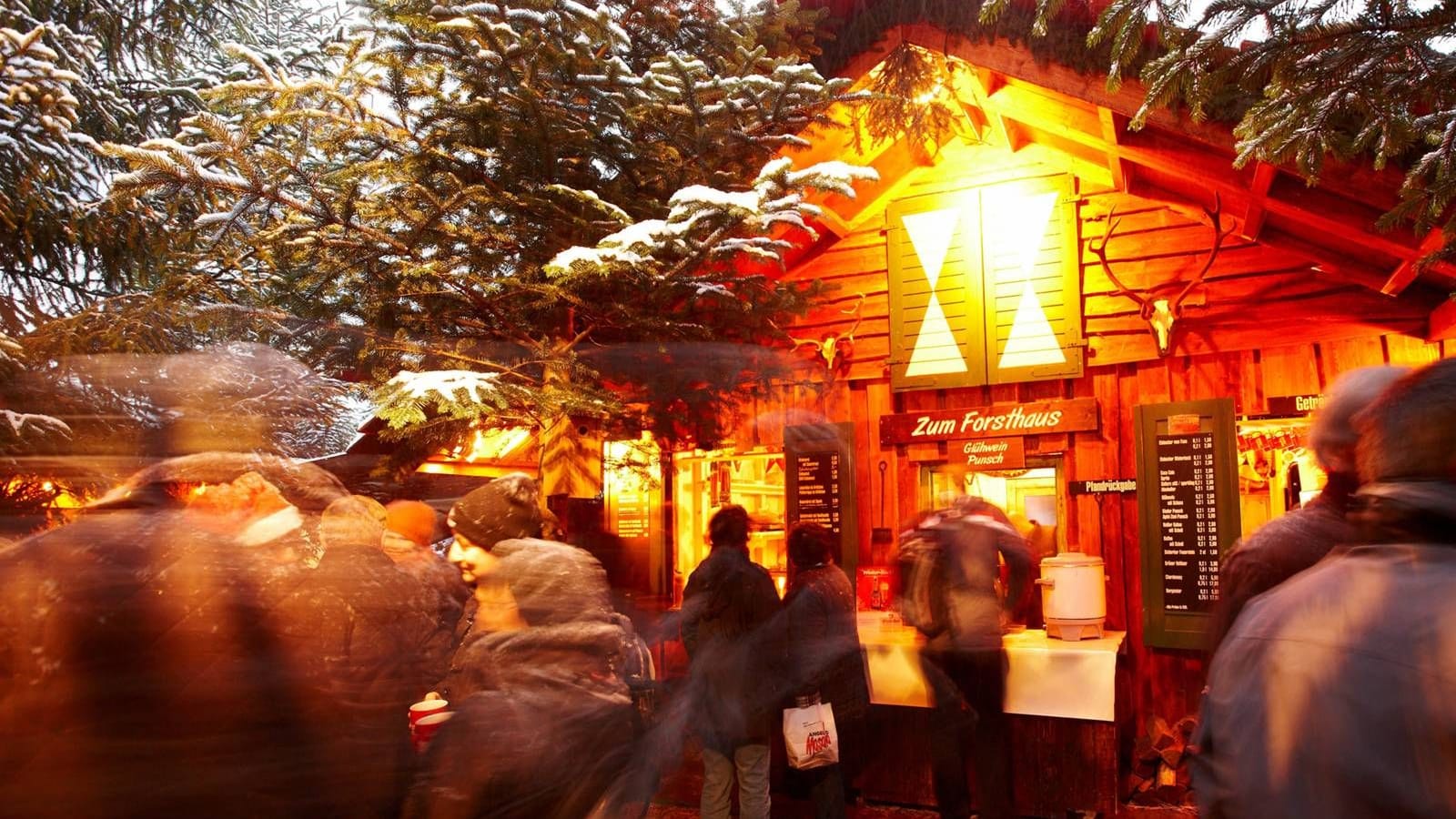 In der Blockhütte im finnischen Weihnachtsdorf ist die Stimmung schon wegen der zahlreichen Tannen sehr weihnachtlich.