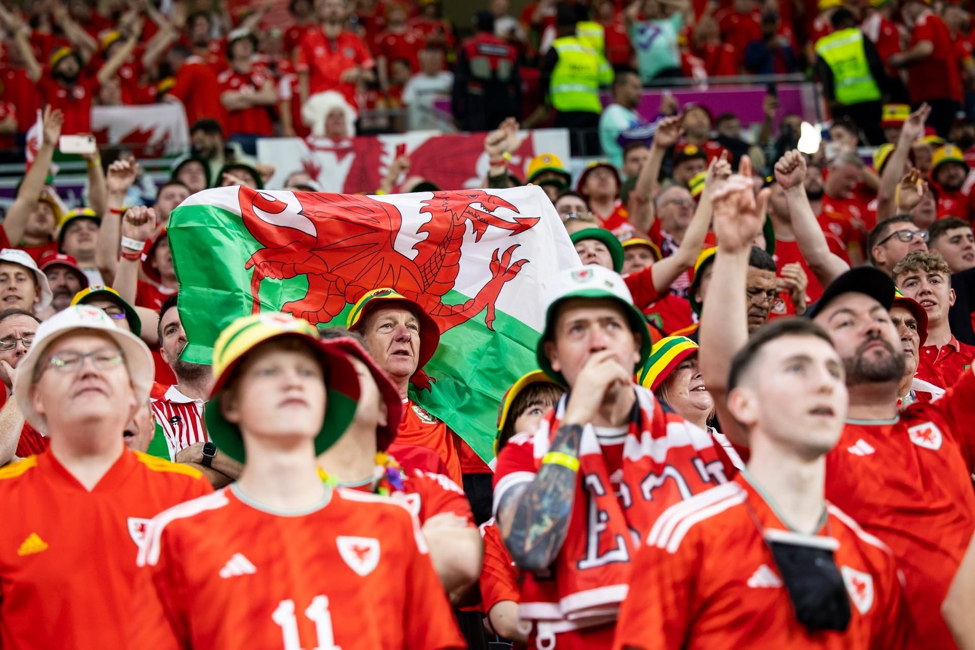 Wales-Fans