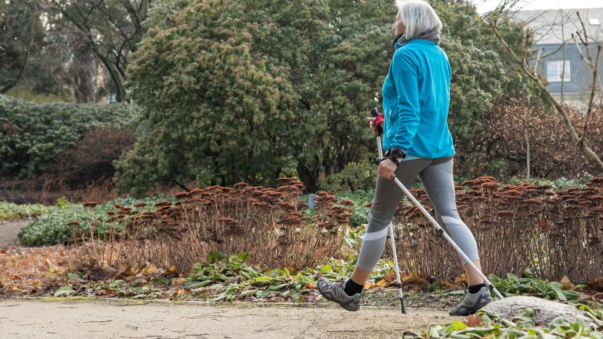 Frische Luft, Tageslicht, Bewegung: Nordic Walking setzt dem Herbstblues einiges entgegen.