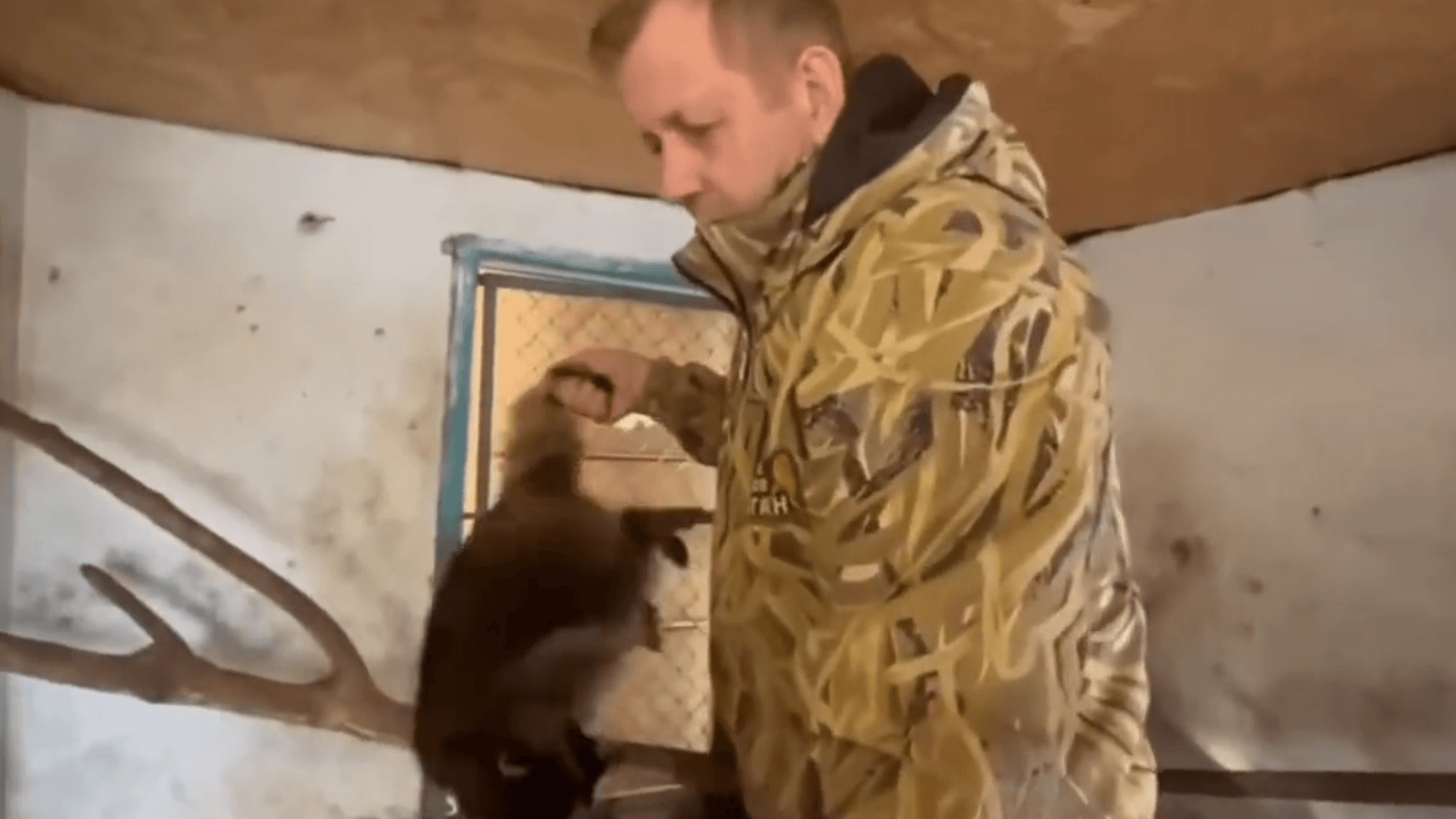 Oleg Zubkow stiehlt einen Waschbären in Cherson: Der Besitzer eines Tierparks auf der Krim hatte das Video zunächst selbst ins Internet gestellt.