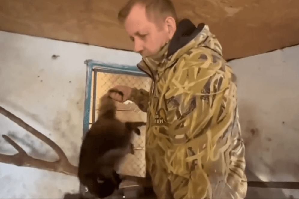 Oleg Zubkow stiehlt einen Waschbären in Cherson: Der Besitzer eines Tierparks auf der Krim hatte das Video zunächst selbst ins Internet gestellt.