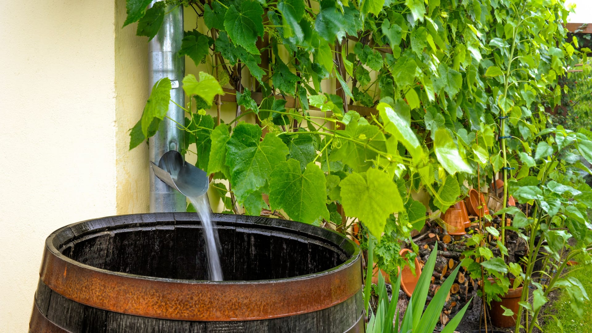 Regenwasser: Man kann es filtern und zu Trinkwasser machen.