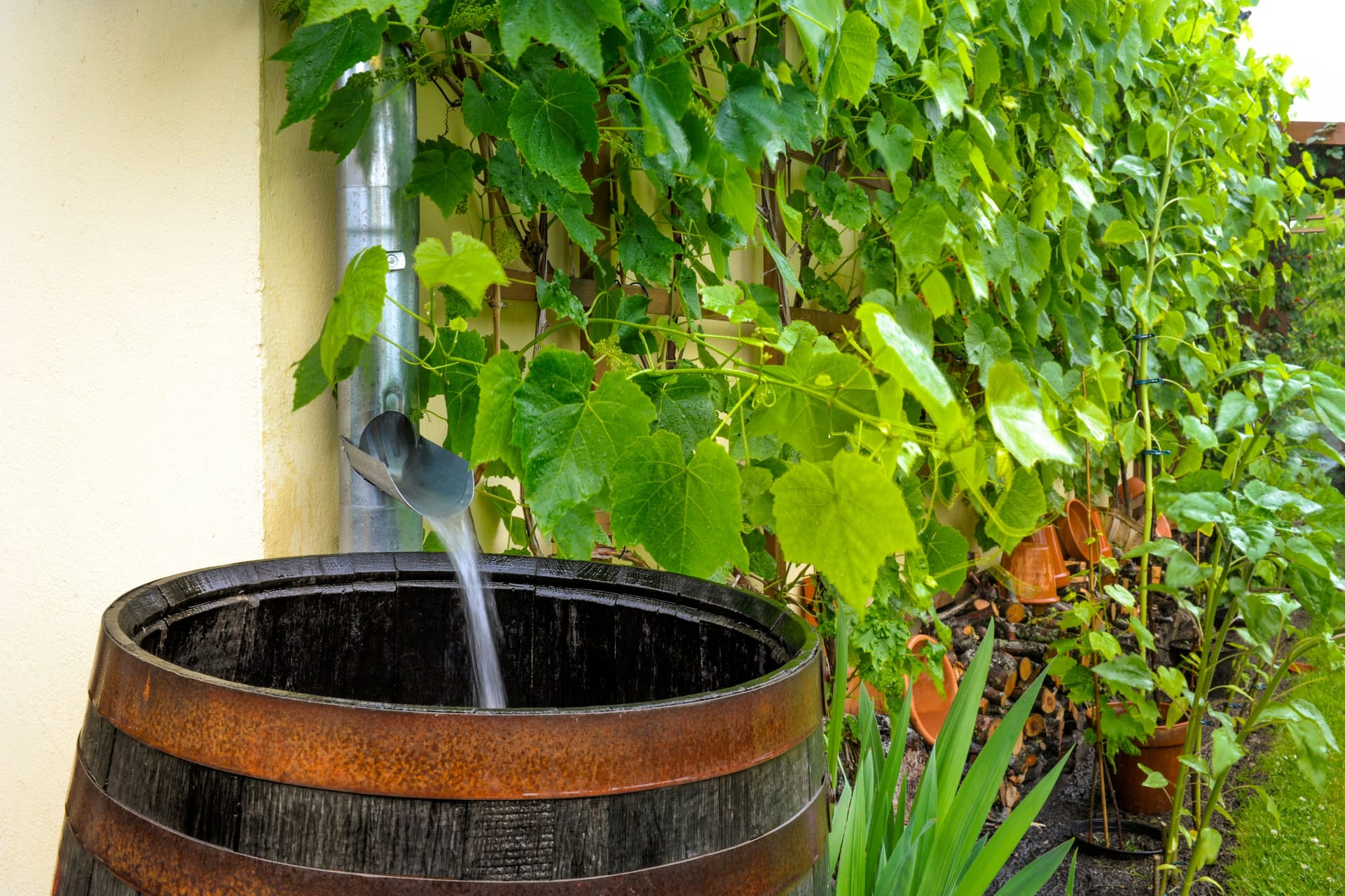 Regenwasser: Man kann es filtern und zu Trinkwasser machen.