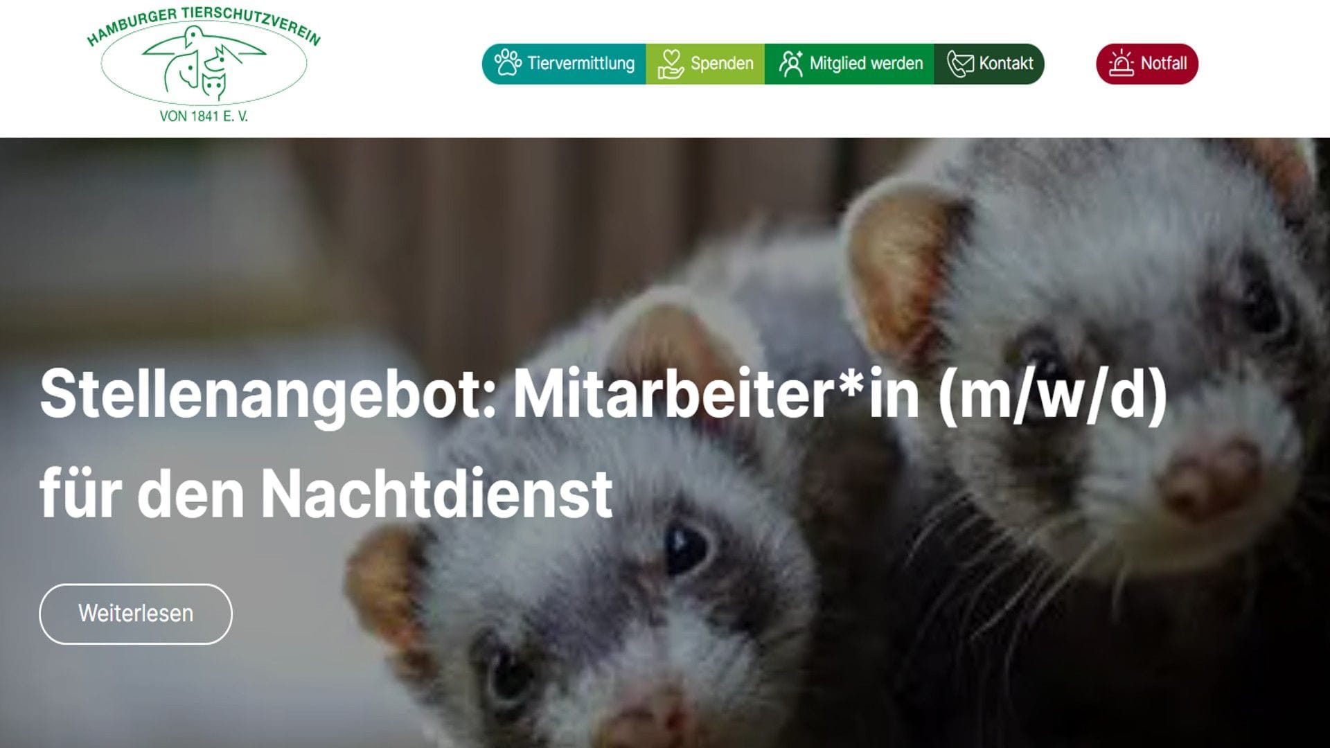 Gesuch auf der Seite des Tierheims: Aktuell ist eine Nachtdienst-Stelle ausgeschrieben.