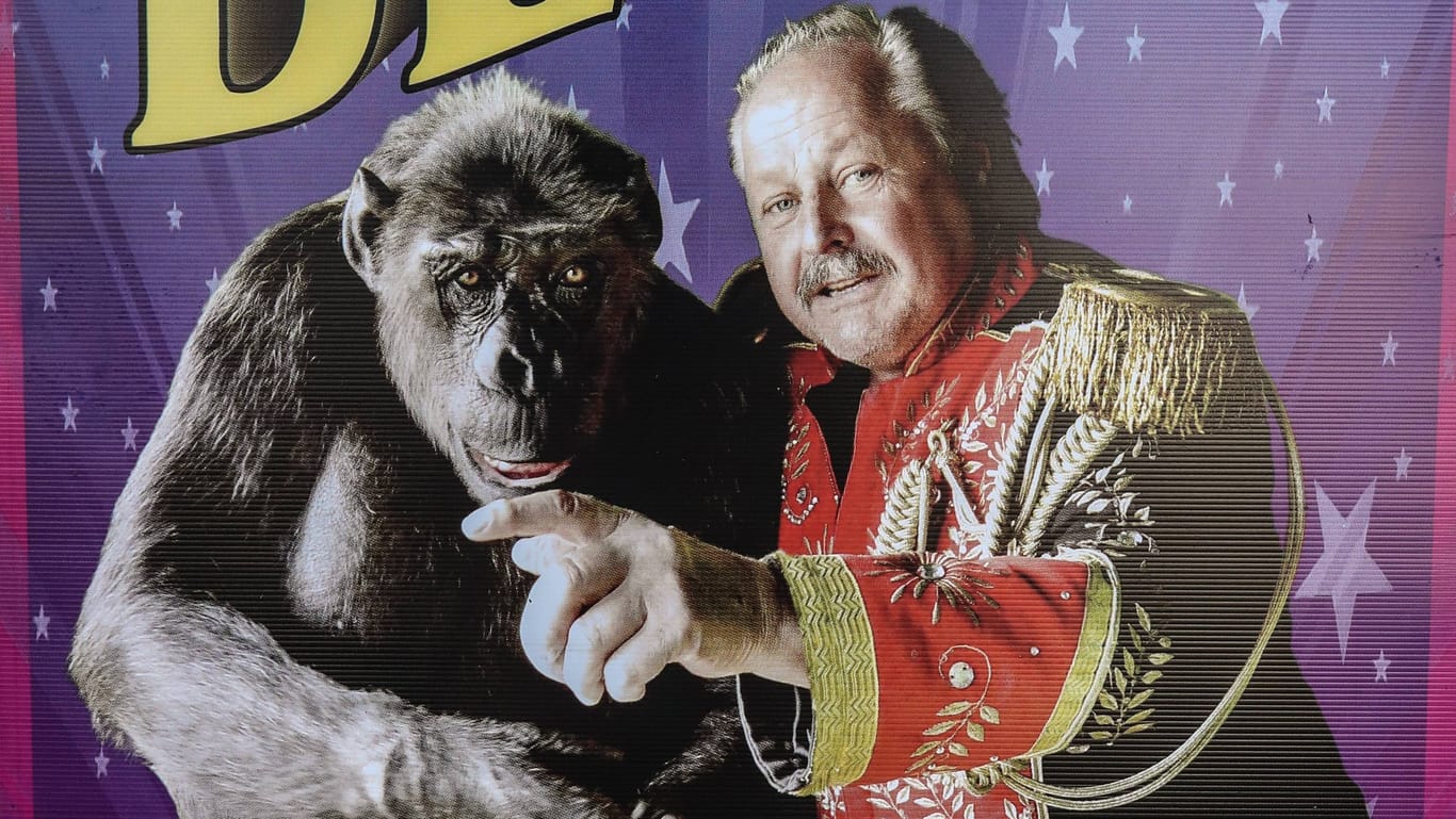 Ein Plakat des Circus Belly mit Schimpanse Robby und Zirkusdirektor Klaus Köhler (Archivbild): Am Montag gab der Zirkus den Tod des Tieres bekannt.