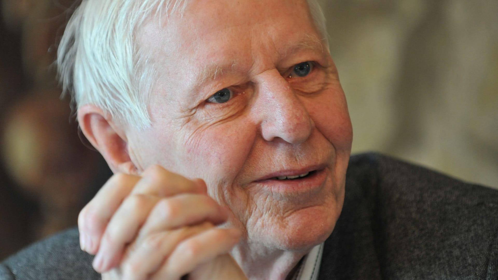 Hans Magnus Enzensberger: Der Schriftsteller ist weltberühmt. Hans Magnus Enzensberger: Der Schriftsteller ist weltberühmt.