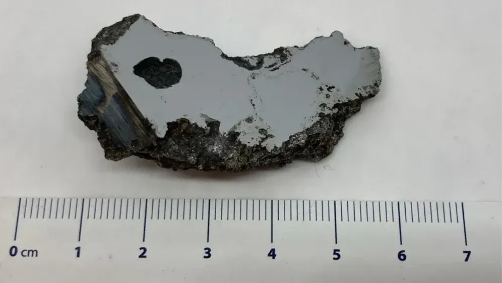 Gefunden in einem 70-Gramm-Meteoriten-Stück: In Kanada feiert ein Forschungsteam den Fund neuer Mineralien.