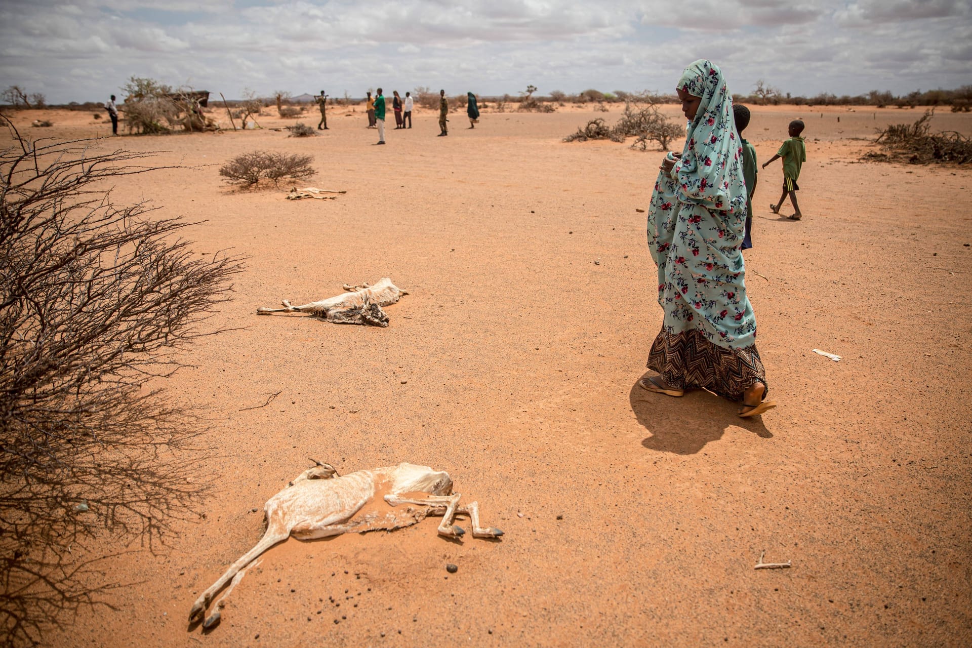 Kind geht an den verrottenden Kadavern von Ziegen vorbei, Somalia: An Wasser mangelt es jetzt schon in zahlreichen Regionen der Welt. Klimakatastrophen werden häufiger und stärker auftreten.