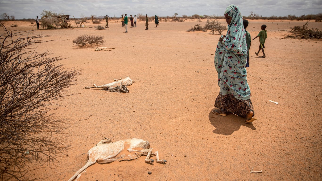 Kind geht an den verrottenden Kadavern von Ziegen vorbei, Somalia: An Wasser mangelt es jetzt schon in zahlreichen Regionen der Welt. Klimakatastrophen werden häufiger und stärker auftreten.