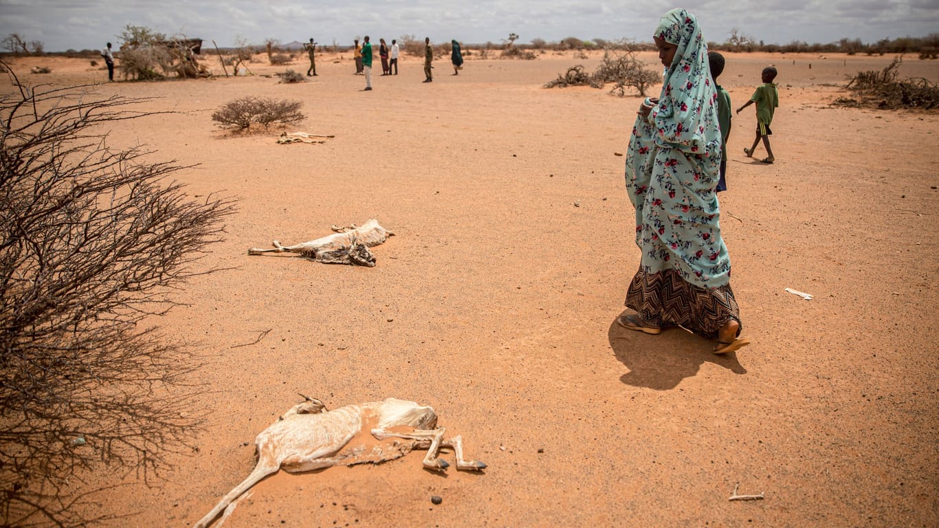 Kind geht an den verrottenden Kadavern von Ziegen vorbei, Somalia: An Wasser mangelt es jetzt schon in zahlreichen Regionen der Welt. Klimakatastrophen werden häufiger und stärker auftreten.
