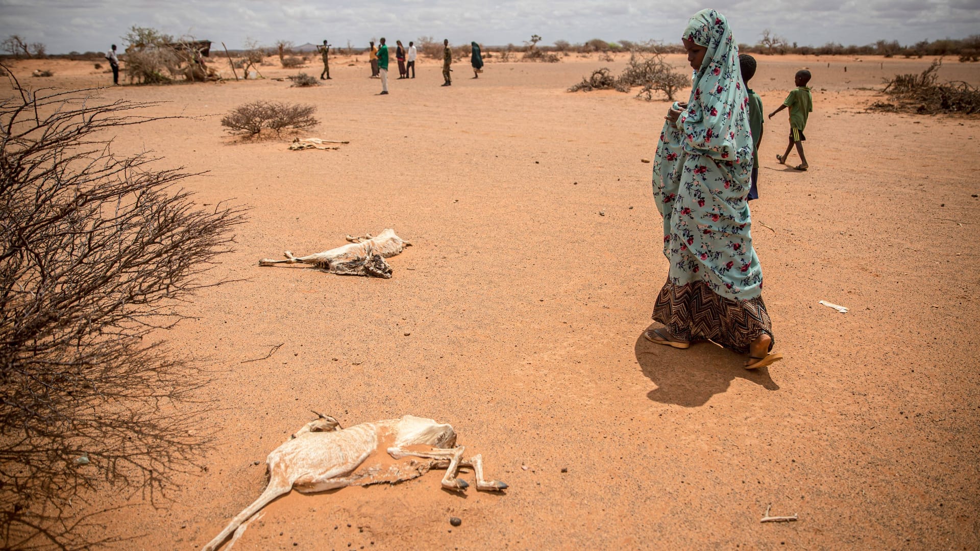 Kind geht an den verrottenden Kadavern von Ziegen vorbei, Somalia: An Wasser mangelt es jetzt schon in zahlreichen Regionen der Welt. Klimakatastrophen werden häufiger und stärker auftreten.